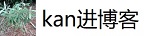 kan进博客